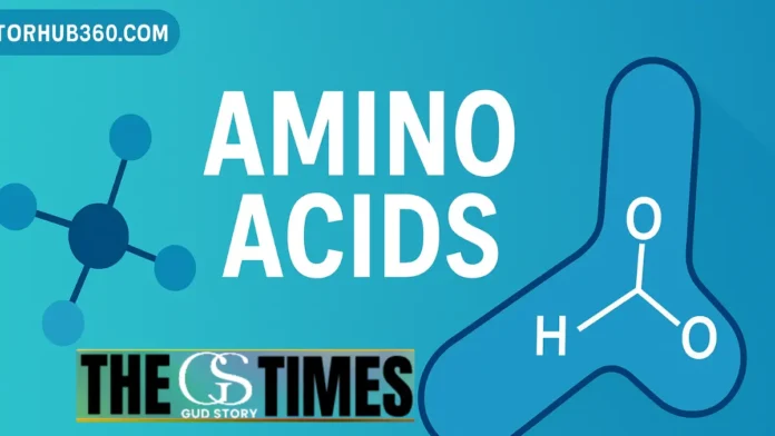 doctorhub360.com amino acids