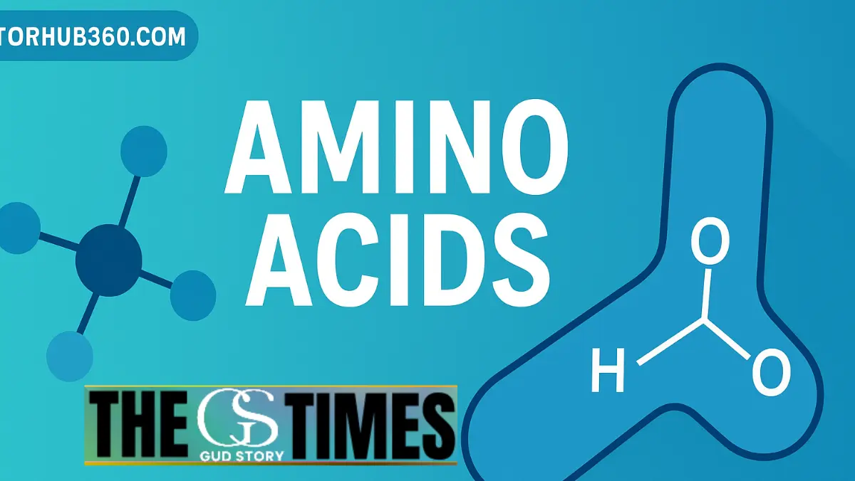 doctorhub360.com amino acids