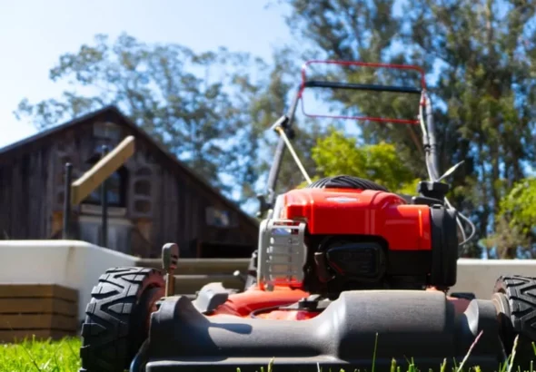 landscape-maintenance-13-jpg