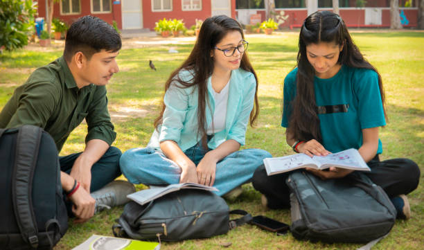 Top Study Fields for Students Unsure About Their Future