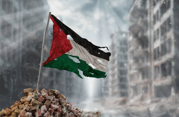 istockphoto-2187036425-612x612